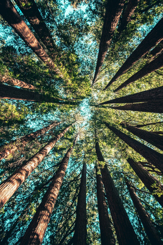 Sustainable Design Ideas for Your Trade Show Exhibit